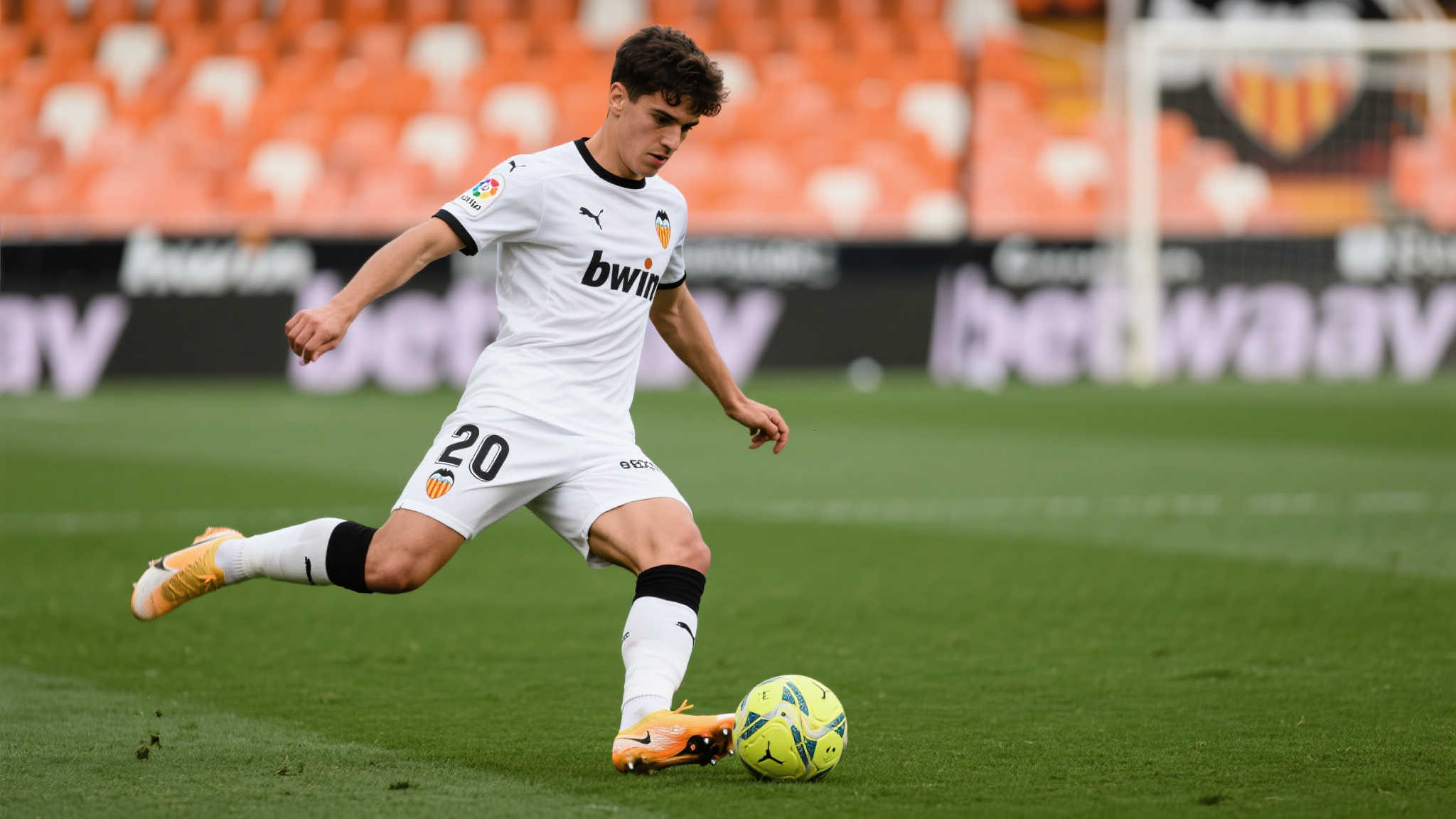 他的到來將 他的到來將